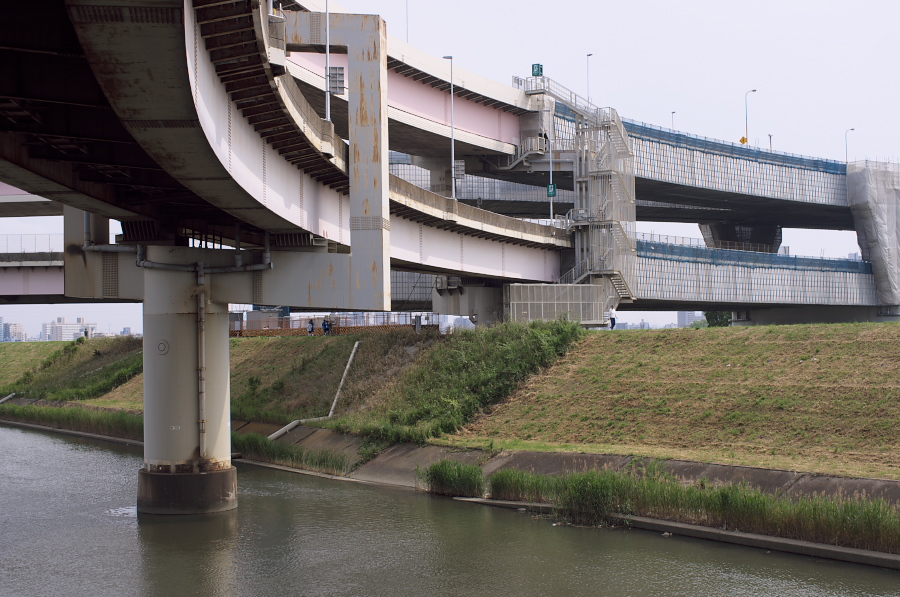 IMGP3166.jpg(339359 byte)