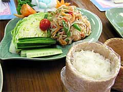 �p�p�C���T���_