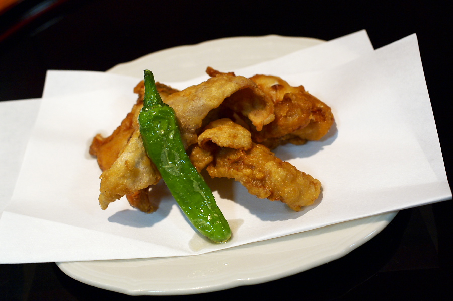 IMGP0040.jpg(229988 byte)