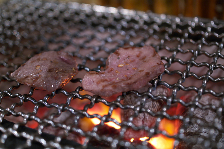 IMGP0021.jpg(290327 byte)