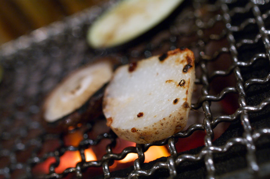 IMGP0036.jpg(251802 byte)