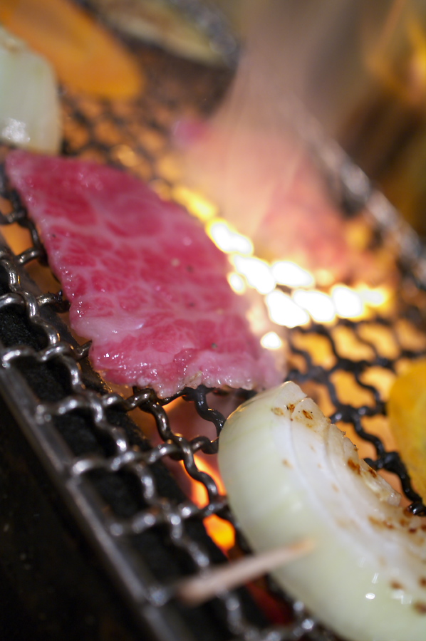 IMGP0042.jpg(207640 byte)