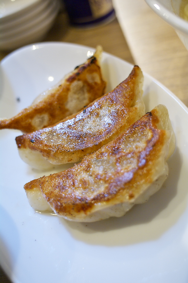 IMGP0017.jpg(249332 byte)