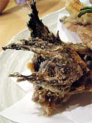 �������̓��g��