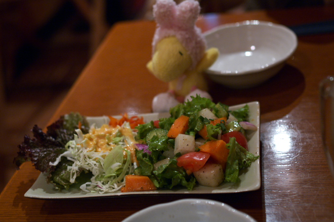 IMGP0004.jpg(162776 byte)