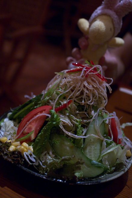 IMGP0006.jpg(190507 byte)