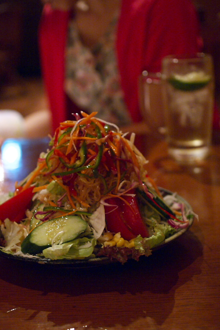 IMGP0008.jpg(182799 byte)