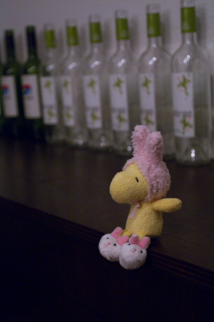 IMGP0002.jpg(134593 byte)