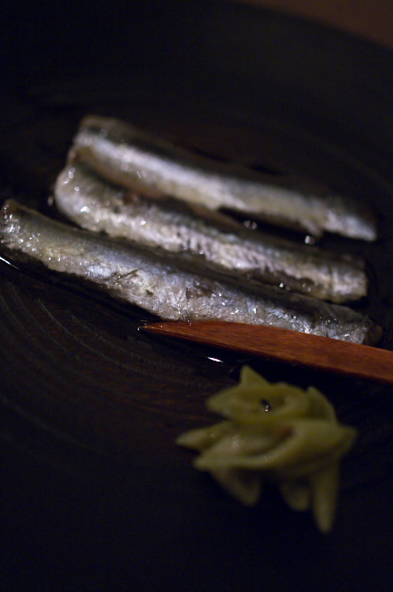 IMGP0017.jpg(145880 byte)