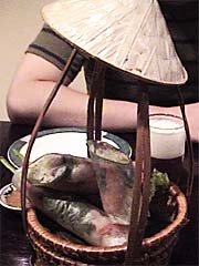 ���t����