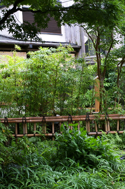 IMGP0016.jpg(368157 byte)