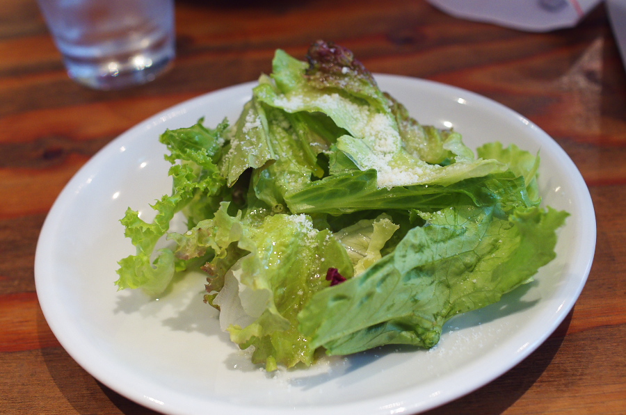 IMGP9725.jpg(288875 byte)