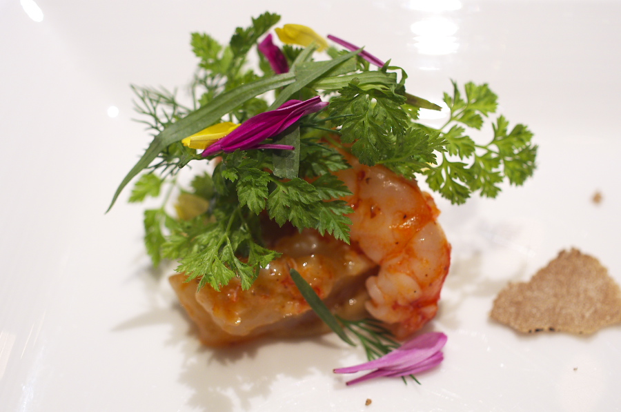 IMGP9930.jpg(220413 byte)