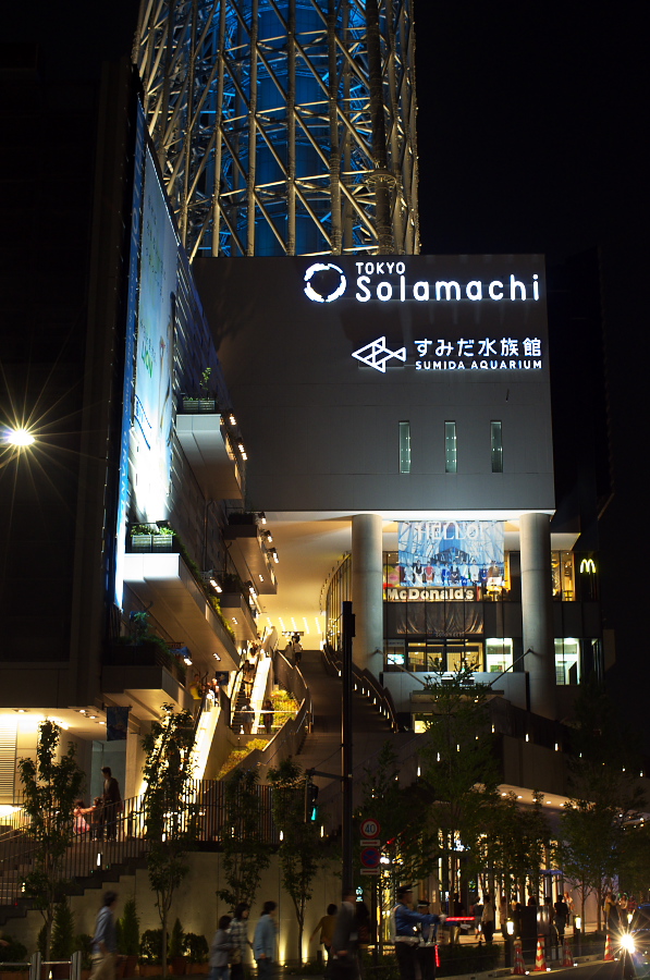 IMGP3302.jpg(362638 byte)