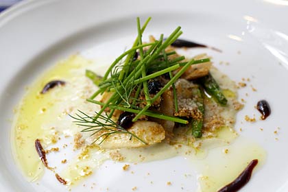 �}�e�L�̍����Ă�