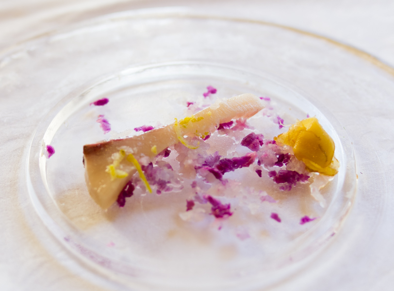 IMGP7797.jpg(188492 byte)