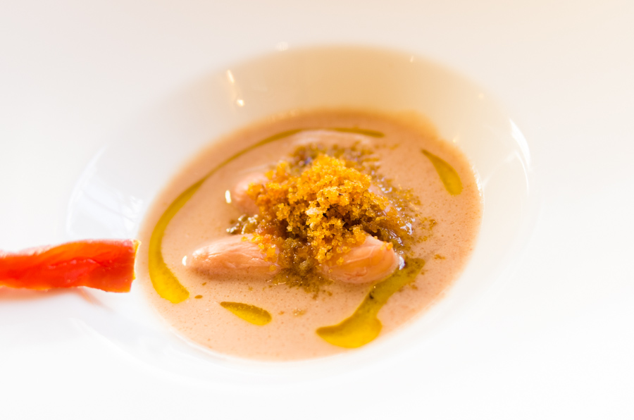 IMGP7848.jpg(174015 byte)