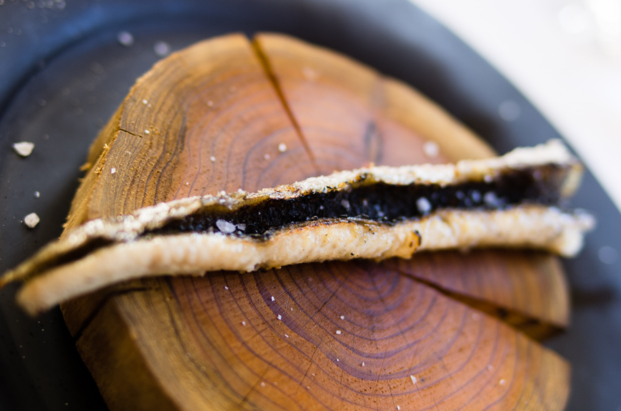 IMGP7896.jpg(268508 byte)