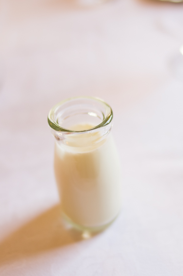 IMGP7963.jpg(113804 byte)