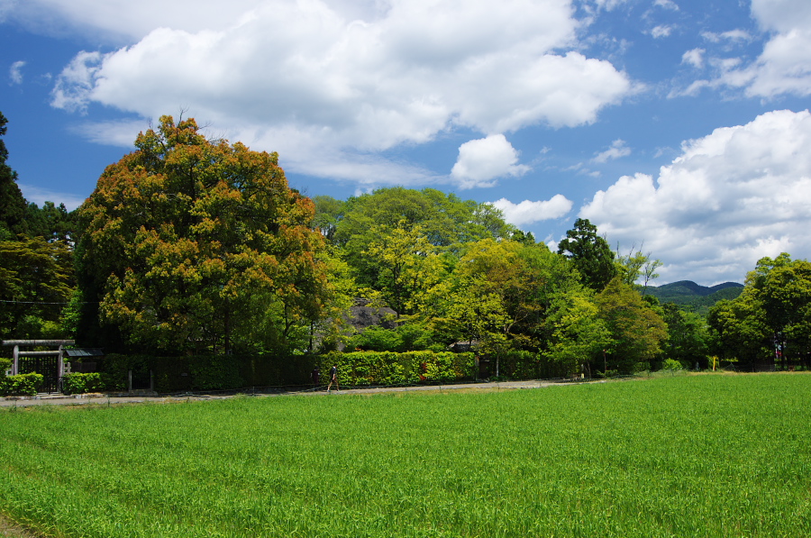 IMGP3452.jpg(451577 byte)