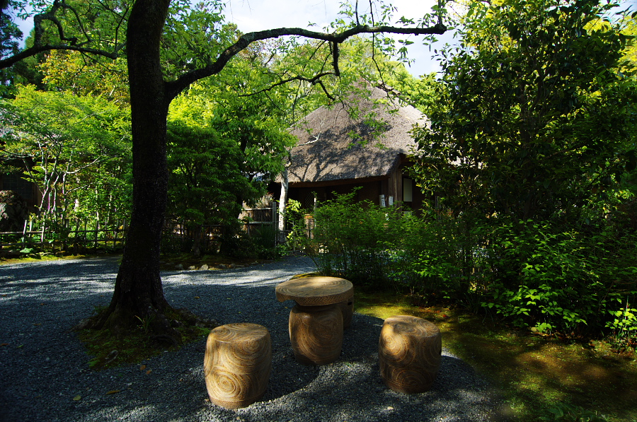 IMGP3692.jpg(607780 byte)