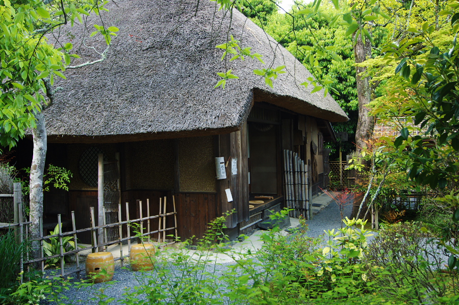 IMGP3695.jpg(607794 byte)