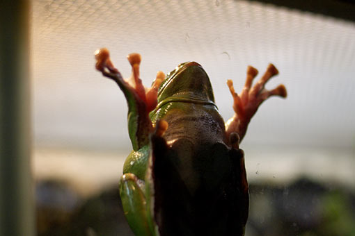 ���H������