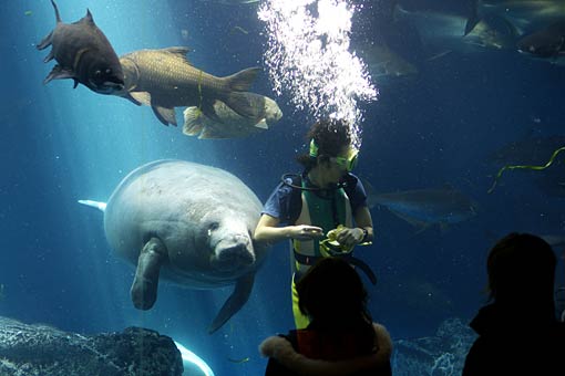 ���H������