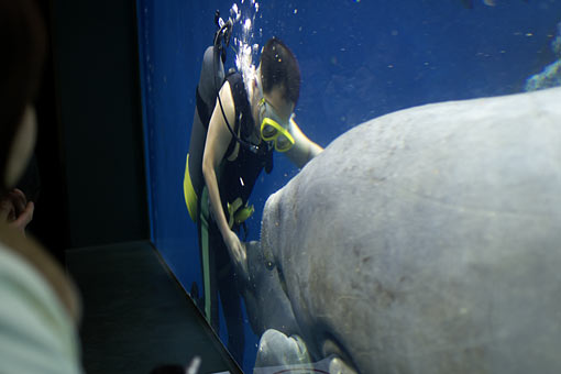 ���H������