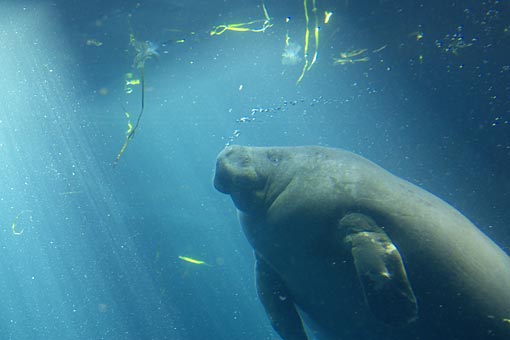 ���H������