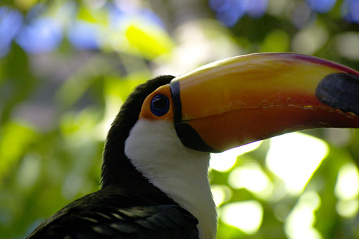 ���H������