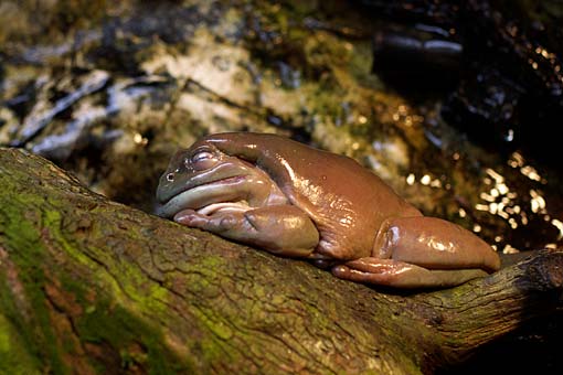 ���H������