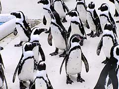 �y���M��