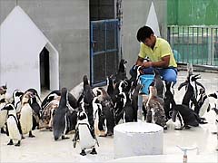 �y���M��