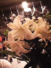 �J�T�u�����J