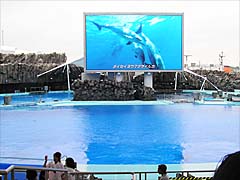 ���C���v�[��