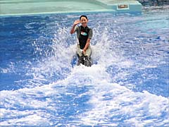 ���C���v�[��