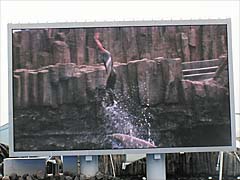 ���C���v�[��