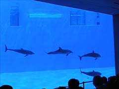 ���C���v�[��