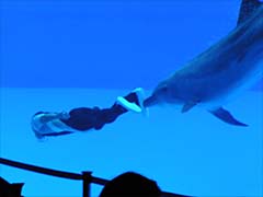 ���C���v�[��