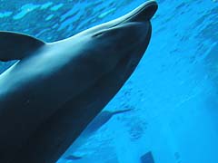 ���C���v�[��