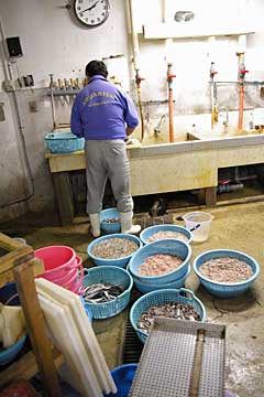 �̂Ƃ��ܐ�����