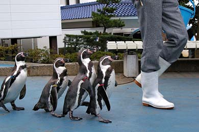 �̂Ƃ��ܐ�����