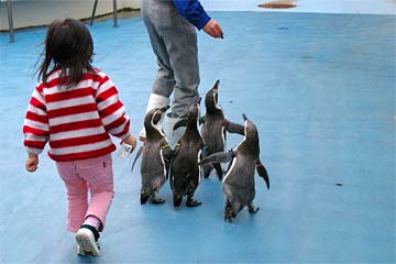 �̂Ƃ��ܐ�����