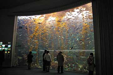 �̂Ƃ��ܐ�����