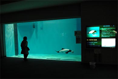 �̂Ƃ��ܐ�����