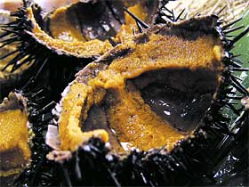 �����ɘ�