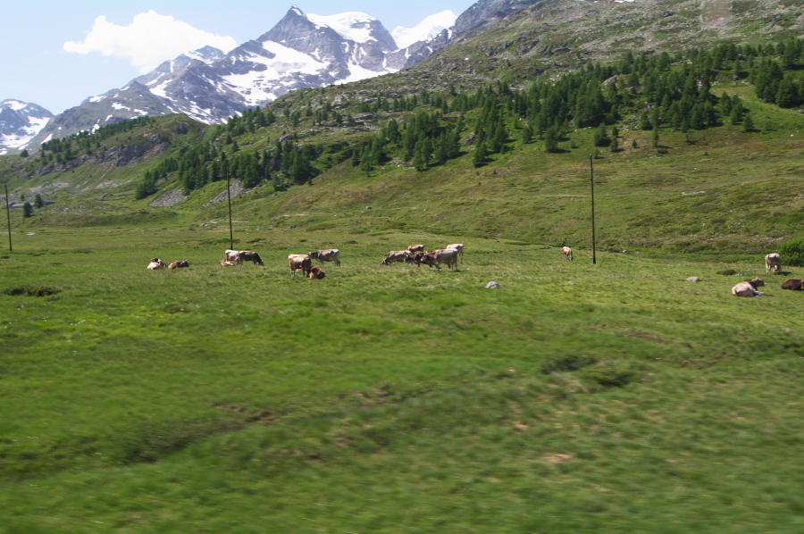 IMGP9546.jpg(343888 byte)