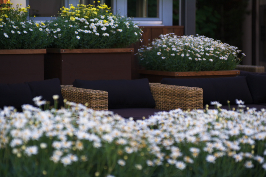 IMGP9882.jpg(236905 byte)