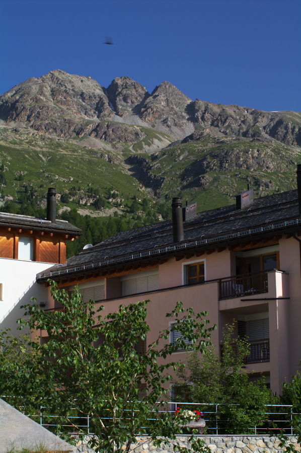 IMGP9889.jpg(380462 byte)